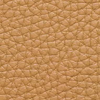 Embossed Leather 40209