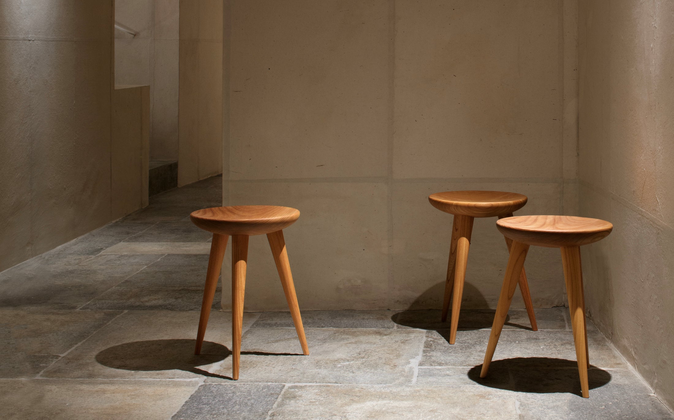 Allmanna stool - Castor aralia