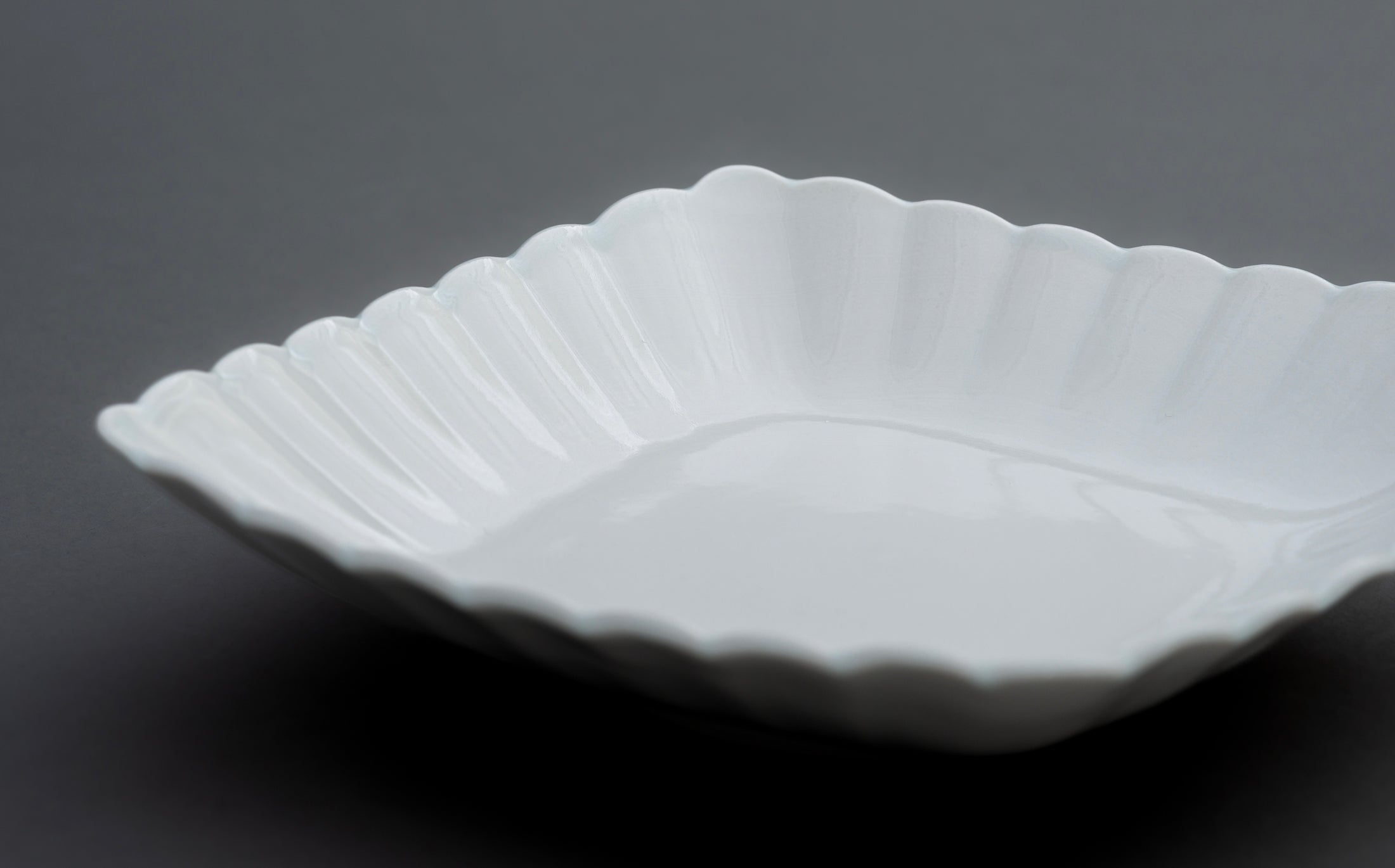 Katsutoshi Mizuno - Porcelain White - Plate 061
