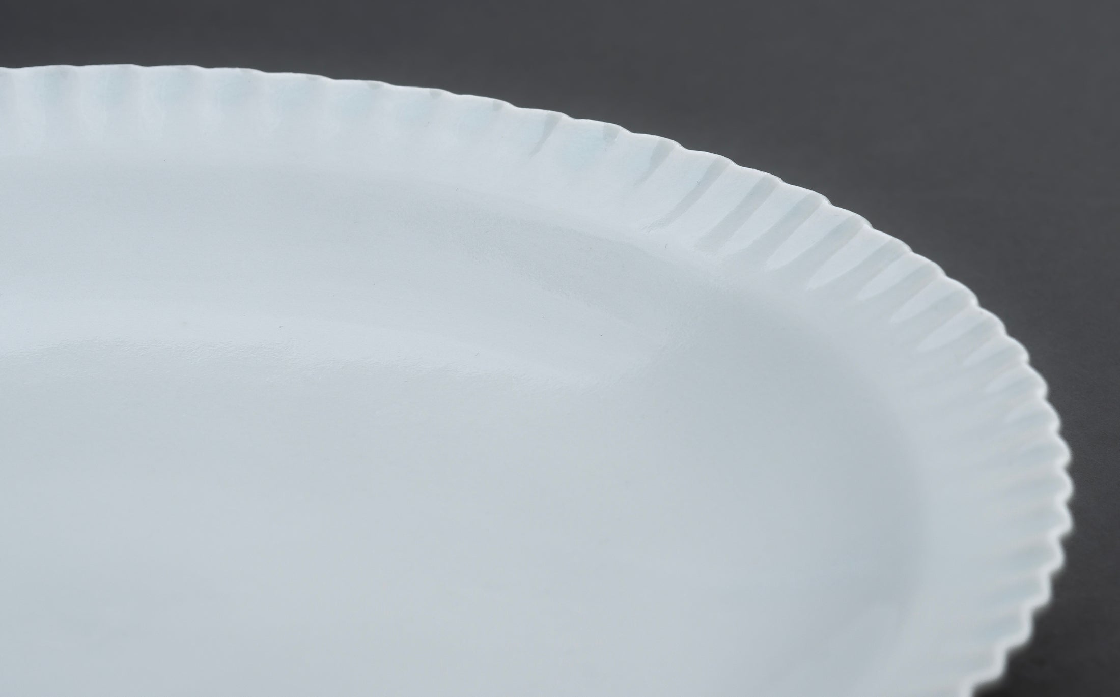 Katsutoshi Mizuno - Porcelain White - Plate 090