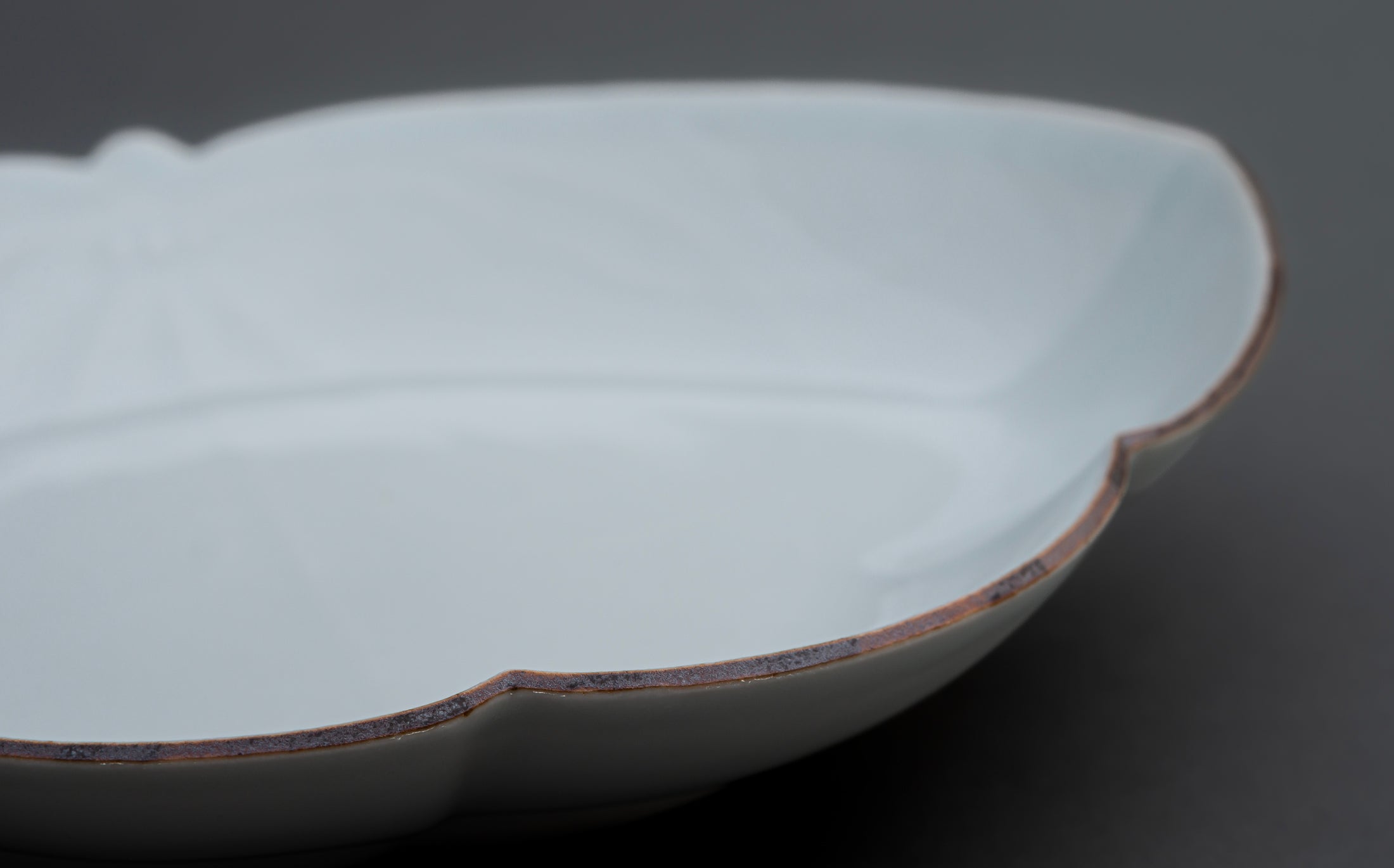 Katsutoshi Mizuno - Porcelain White - Plate 097