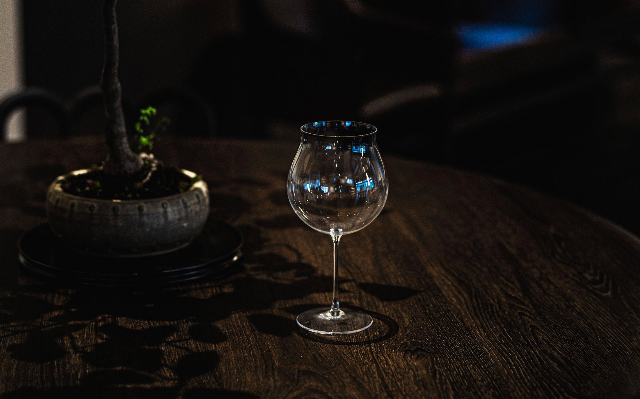 Raisin - Glass "cabernet"