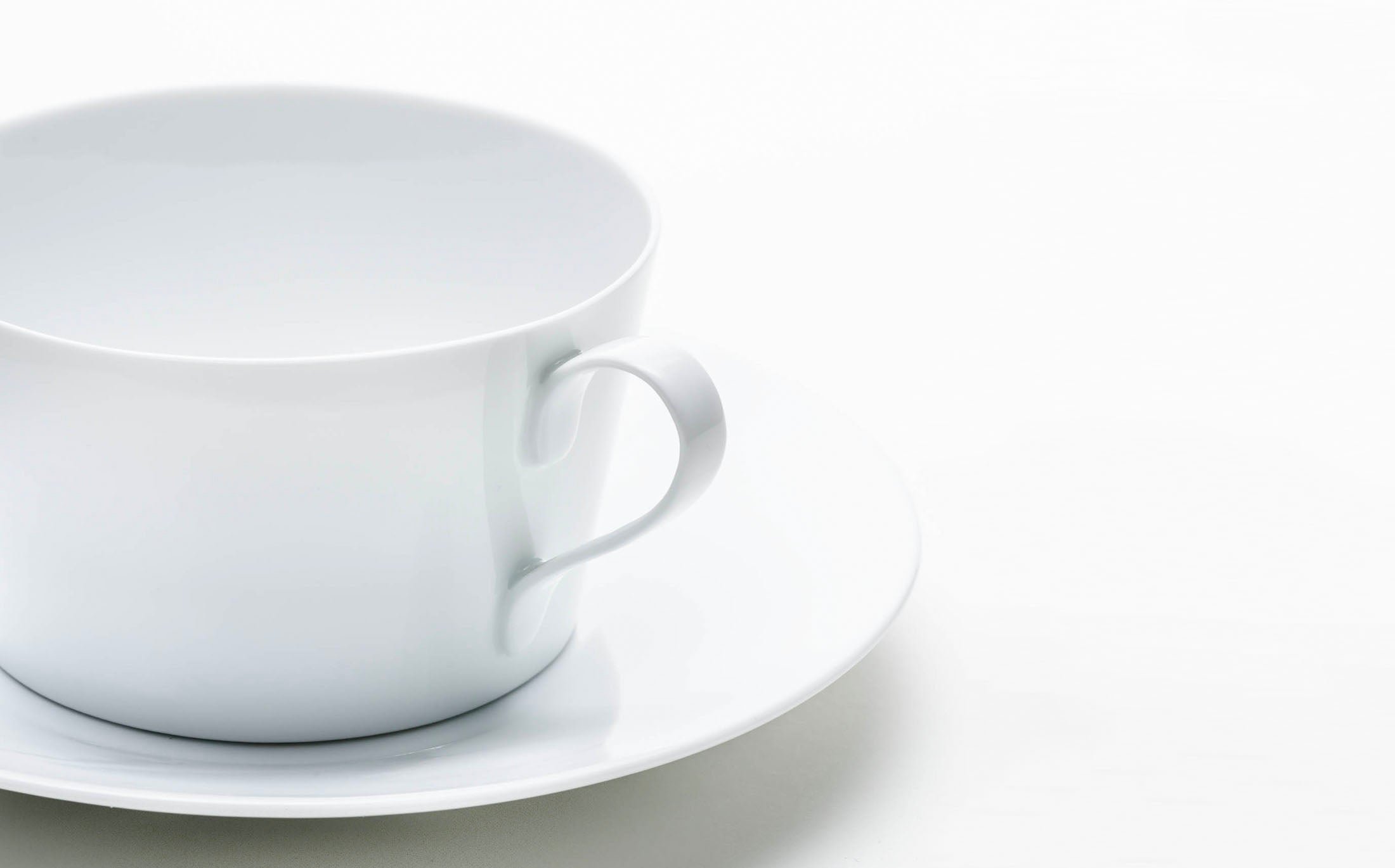 Shirotae - Porcelain White - Tea Cup and Saucer