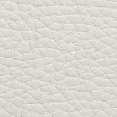 Embossed Leather 40202