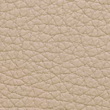 Embossed Leather 40204