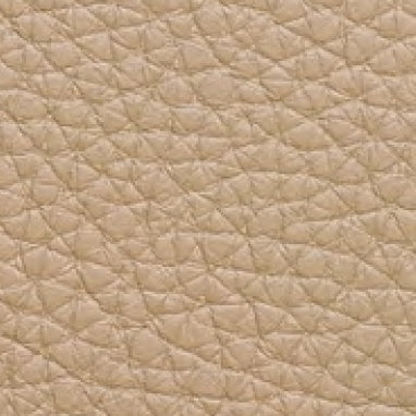 Embossed Leather 40205