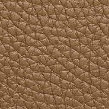 Embossed Leather 40206