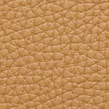 Embossed Leather 40209