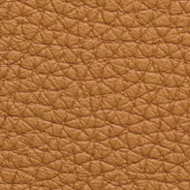 Embossed Leather 40210