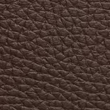 Embossed Leather 40215