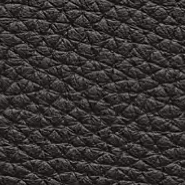 Embossed Leather 40216