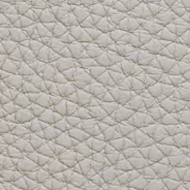 Embossed Leather 40242