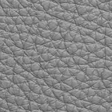 Embossed Leather 40243