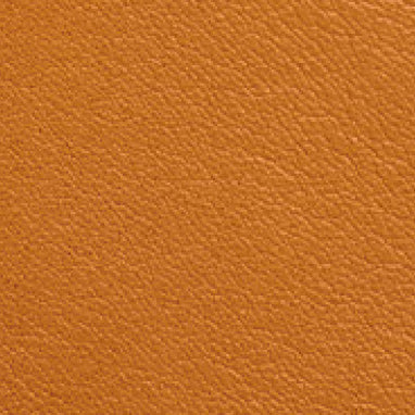 Smooth Leather 40105