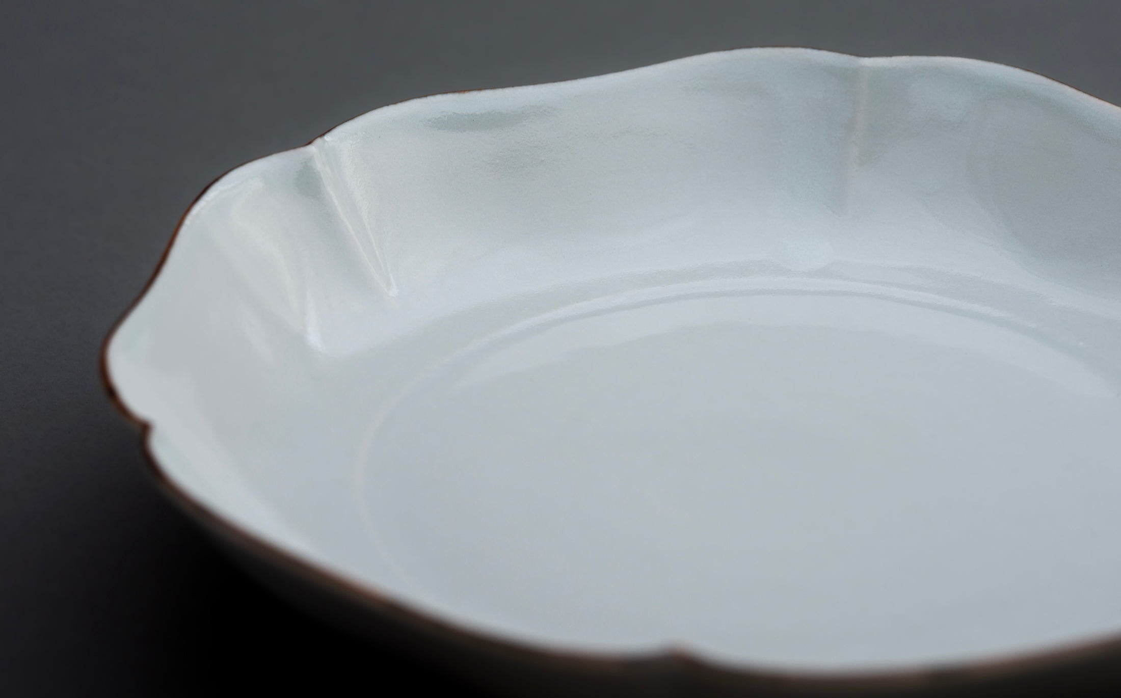 Katsutoshi Mizuno - Porcelain White - Plate 005