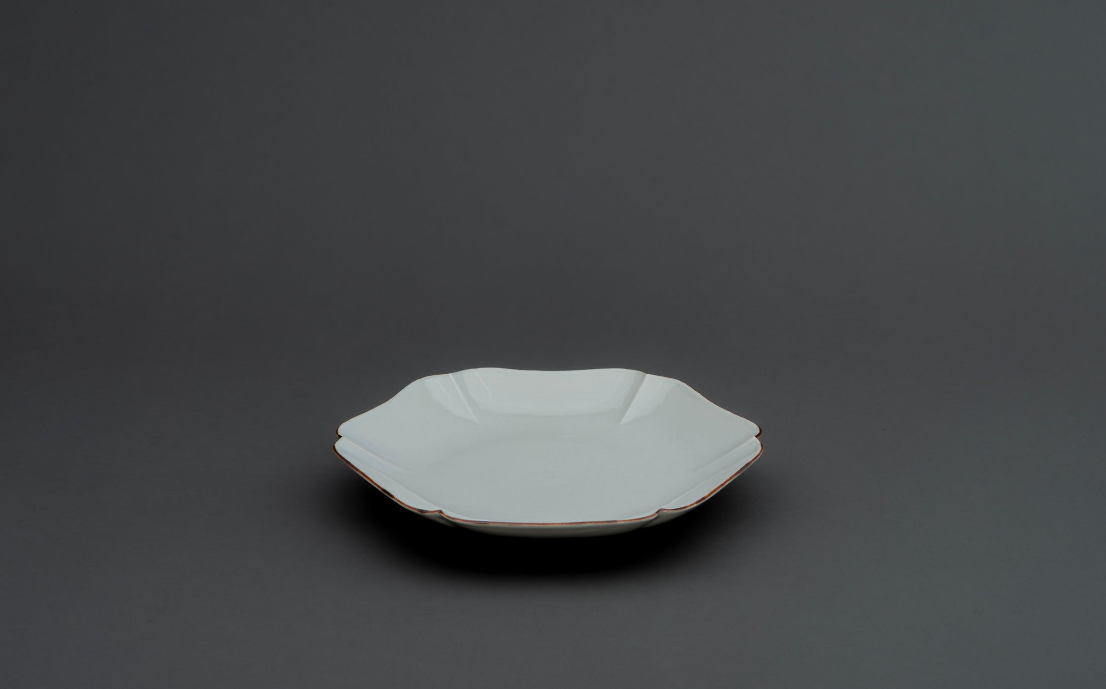 Katsutoshi Mizuno - Porcelain White - Plate 019