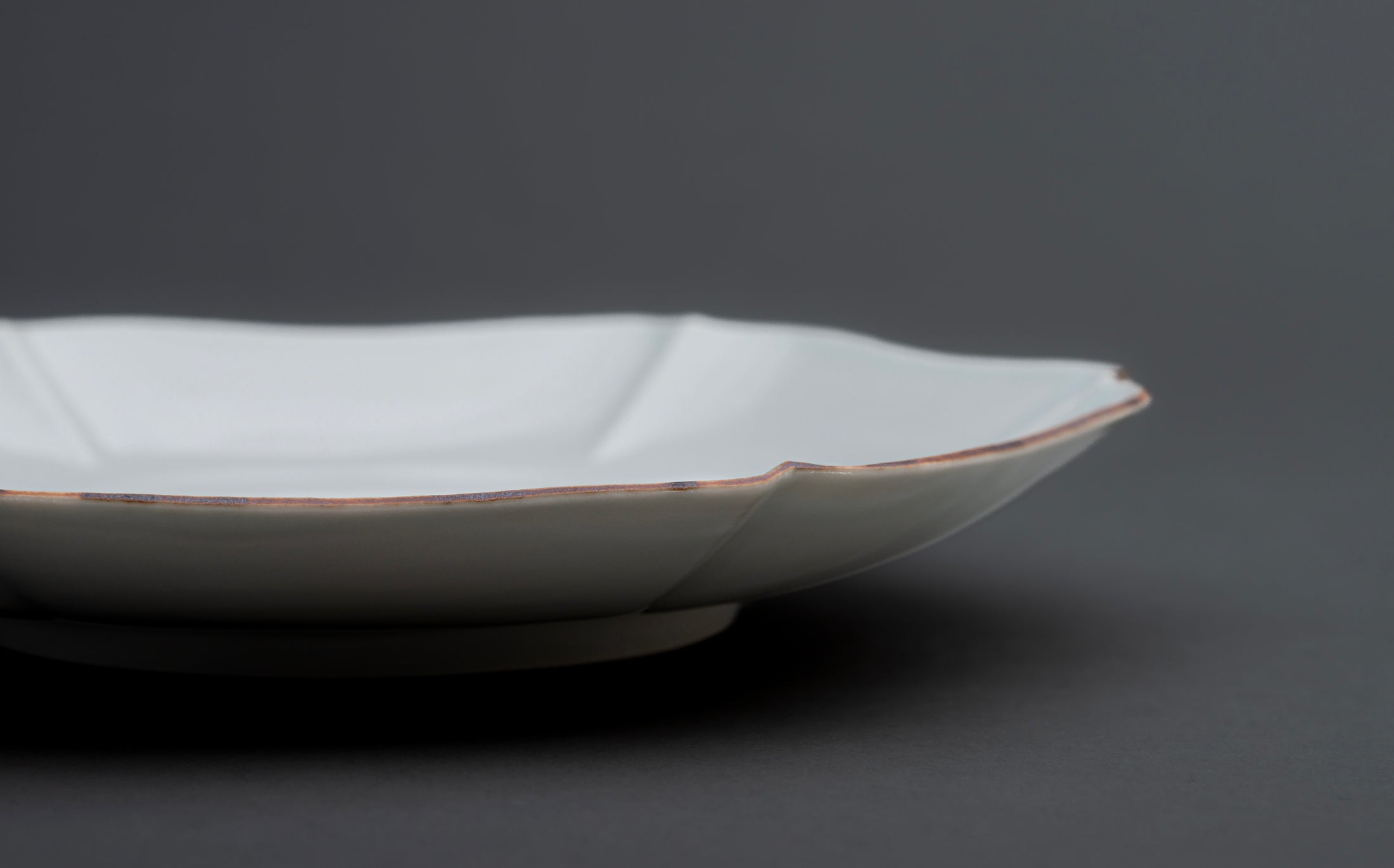 Katsutoshi Mizuno - Porcelain White - Plate 019