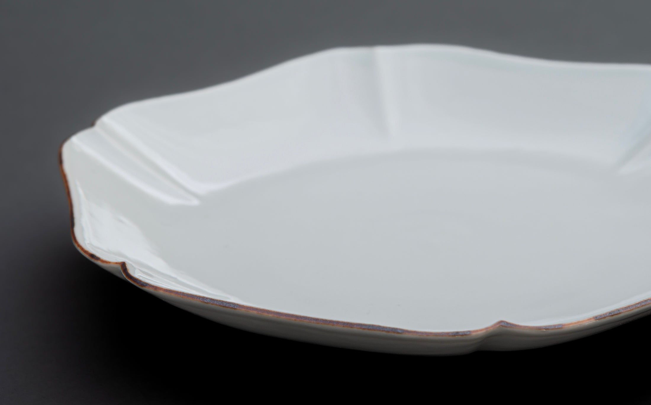 Katsutoshi Mizuno - Porcelain White - Plate 019