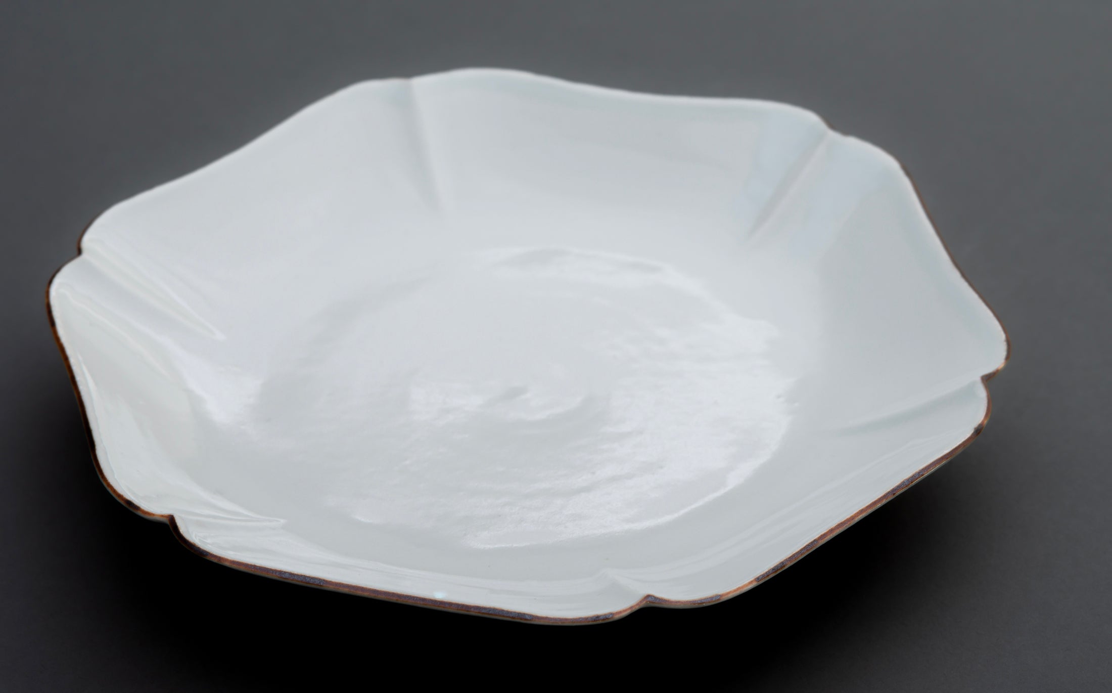 Katsutoshi Mizuno - Porcelain White - Plate 019