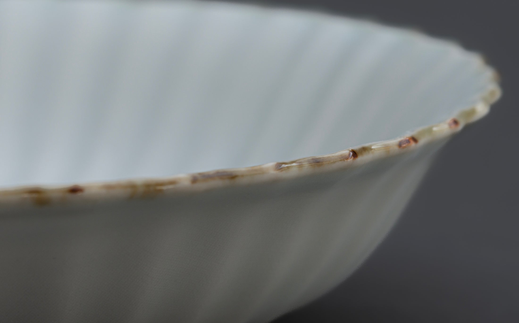 Katsutoshi Mizuno - Porcelain White - Shallow Bowl 034