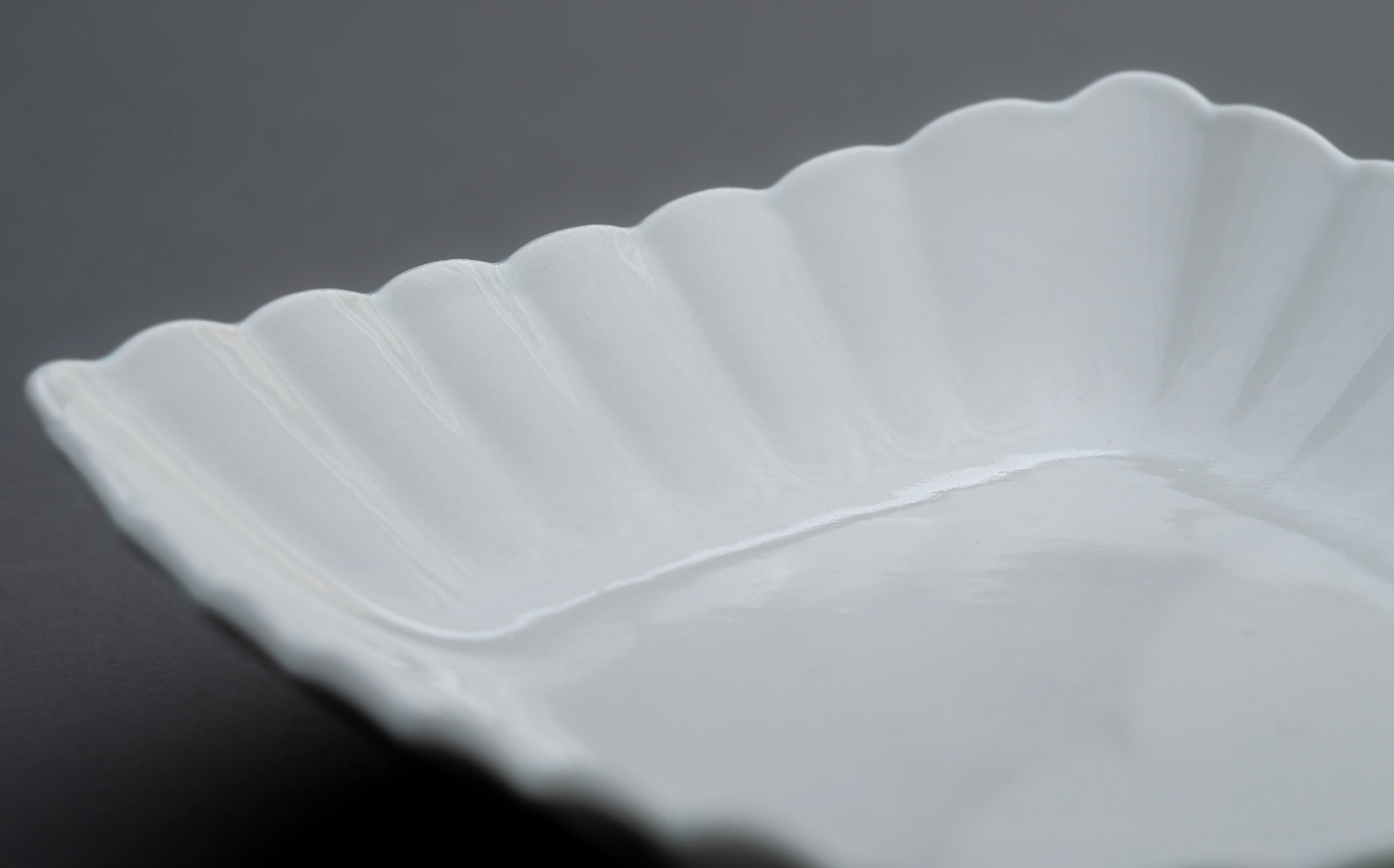 Katsutoshi Mizuno - Porcelain White - Plate 061